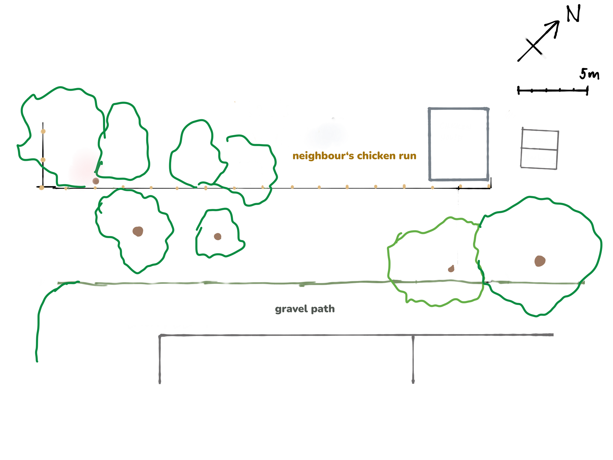 Hand-drawn base map — north arrow, 5 m scale bar, neighbour's chicken run, fence, cherries, gravel path, barn, beehouse